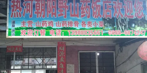 熱河朝陽野山葯飯店