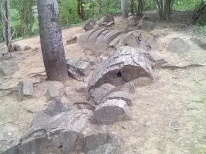 Puyango Petrified Forest Theme Park