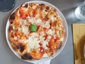 Spontini - Papiniano