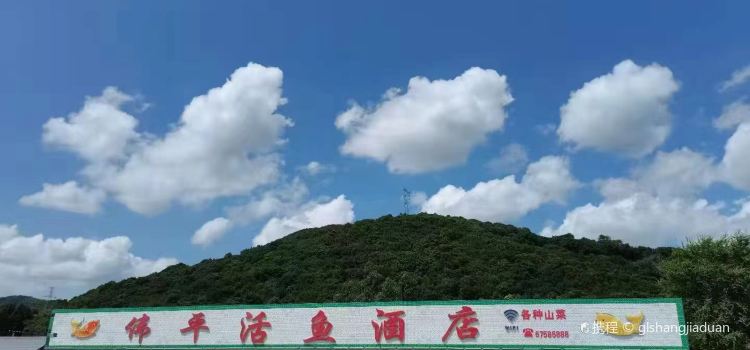 庆岭伟平活鱼酒店