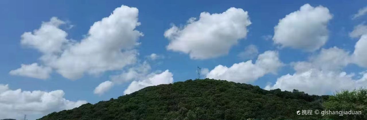 庆岭伟平活鱼酒店