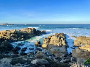 Pebble Beach