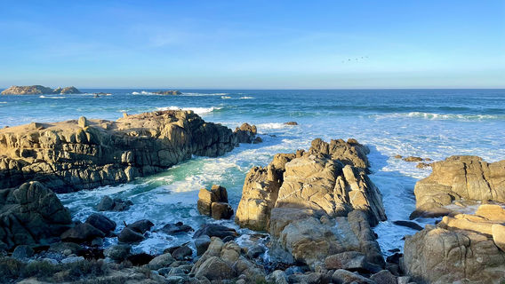 เพบเบิลบีช