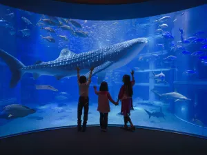 Osaka Aquarium Kaiyukan