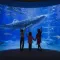 Osaka Aquarium Kaiyukan