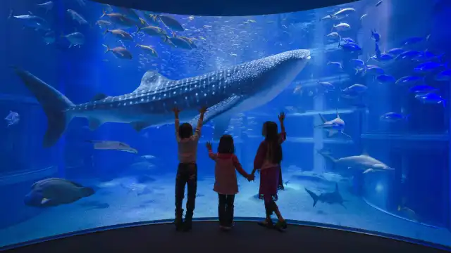 Hotel berhampiran Osaka Aquarium Kaiyukan