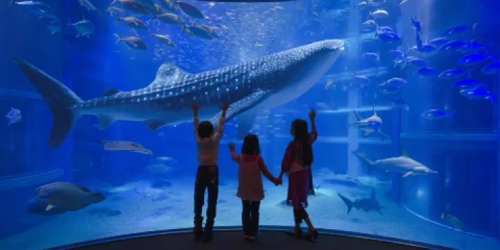大阪海遊館