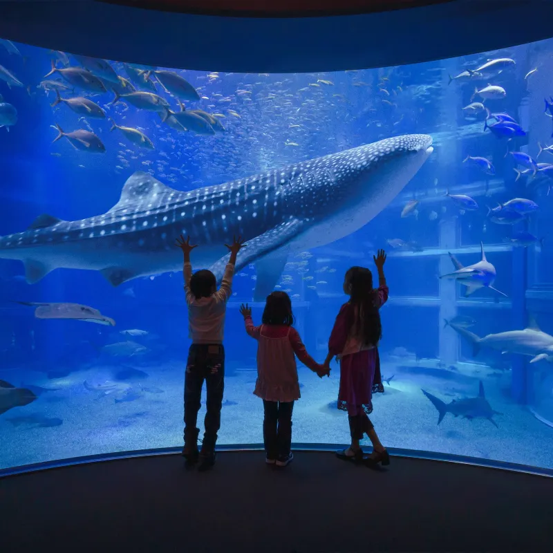 大阪海遊館