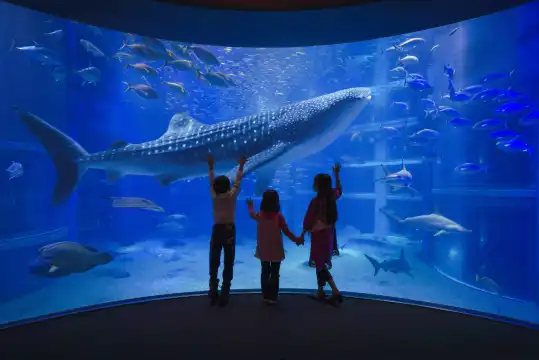 Hoteles cerca de Acuario de Osaka