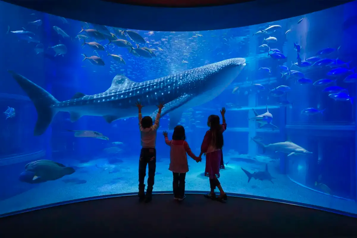 Osaka Aquarium Kaiyukan