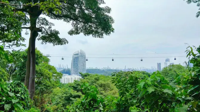 พิพิธภัณฑ์กองทัพอากาศสิงคโปร์