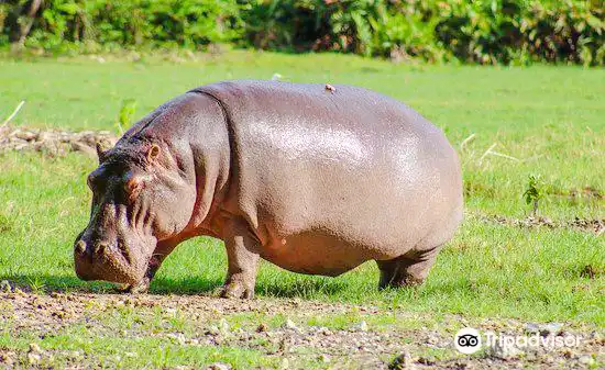 Các khách sạn gần Haller Park
