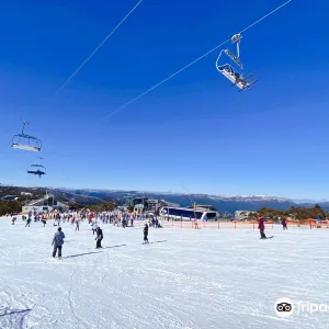 布勒山滑雪場