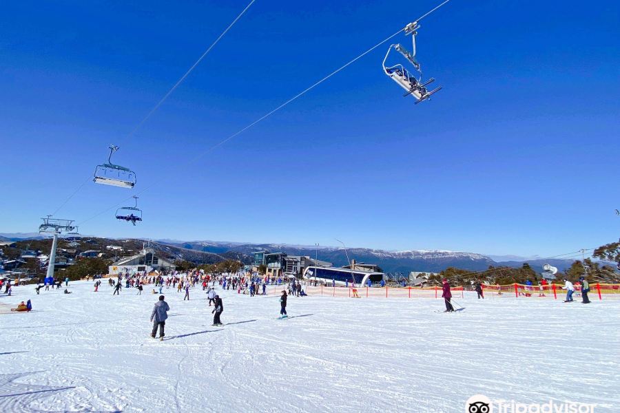 布勒山滑雪場