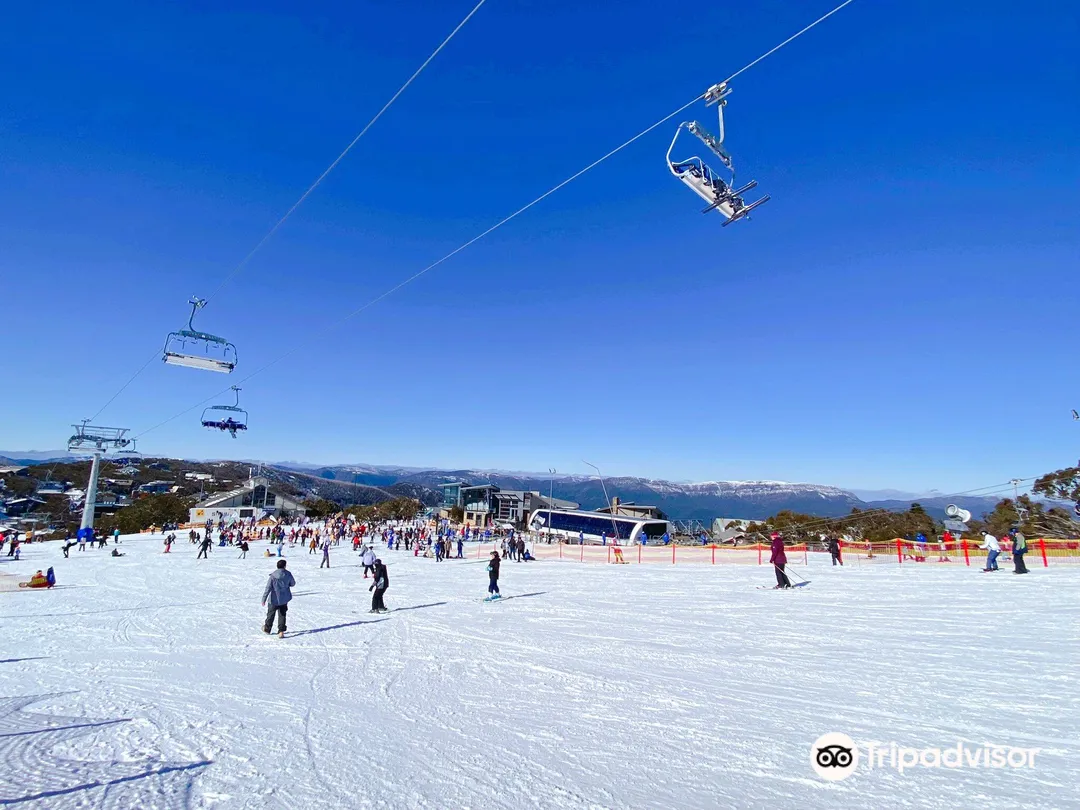 澳洲滑雪, 布勒山滑雪場