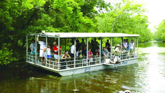 Cajun Pride Swamp Tours