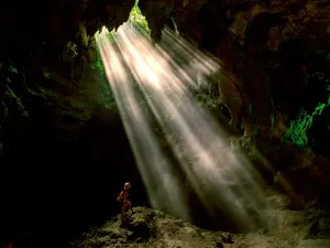 Red Fruit Tree Scenic Area
