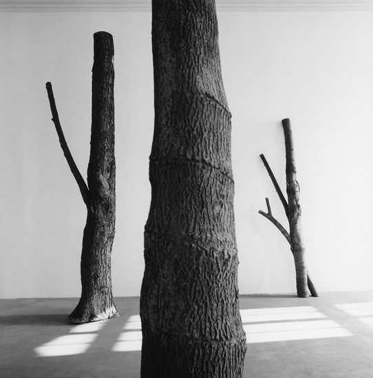《貧窮藝術：從過程到存在》大型展 | 巴黎商品交易所-皮諾私人美術館