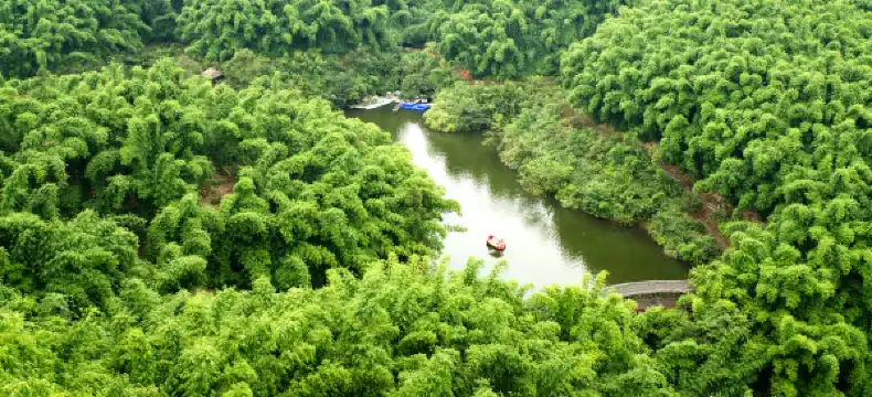 Hotels in Muchuan