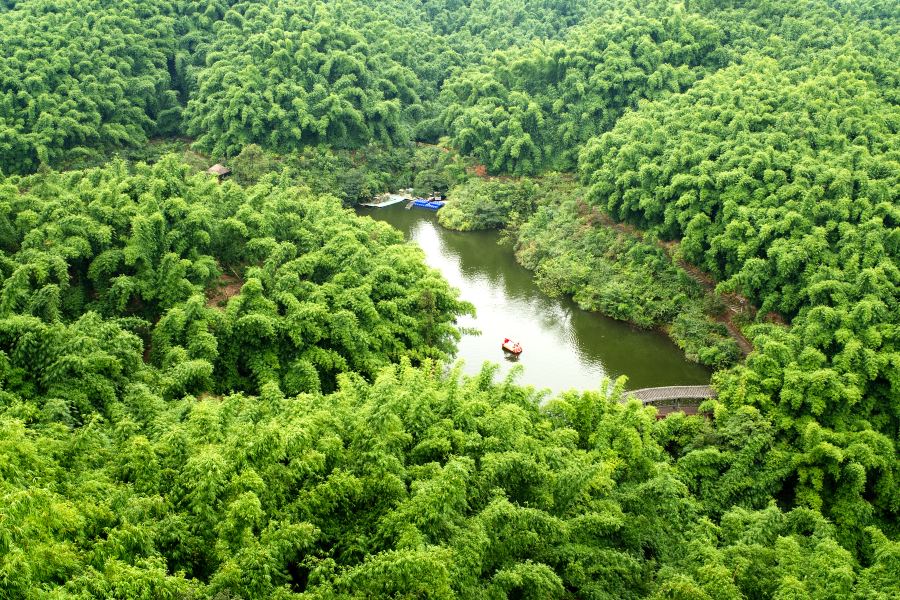 沐川竹海