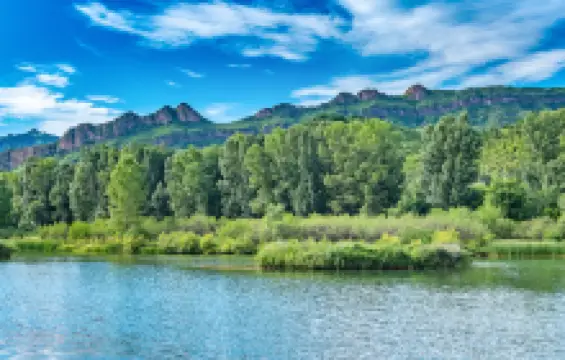 Baili Landscape Gallery