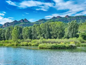 Baili Landscape Gallery