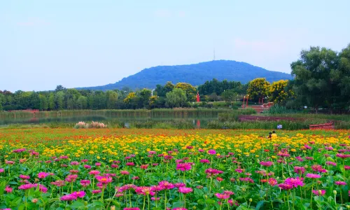 Dashushan National Forest Park