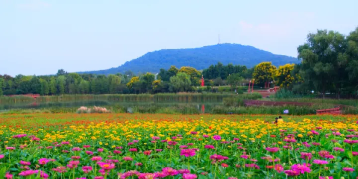 大蜀山國家森林公園