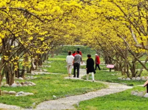 สวนสาธารณะคิงฟงเซียว