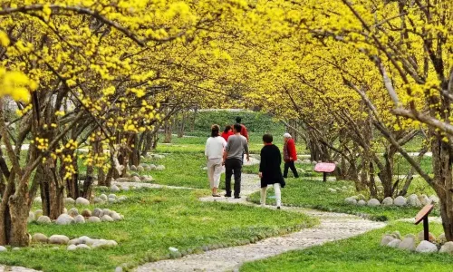 Taibai Qingfengxia Forest Park
