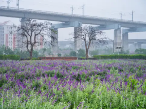 กิจกรรมในฤดูใบไม้ผลิยอดนิยมในจิ้นเจียง