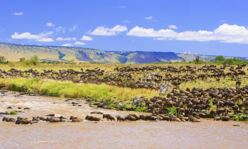 Mara River