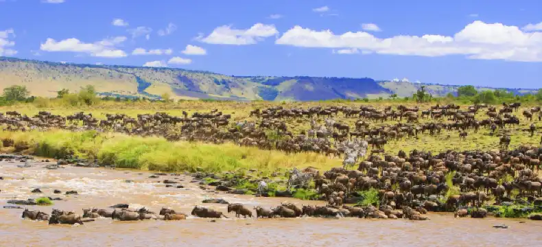 Hotels in Mara
