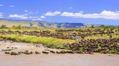 Mara River