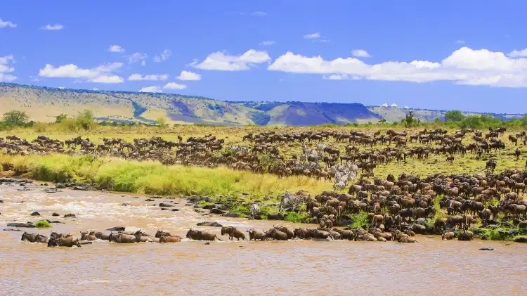 Hotels near Mara River