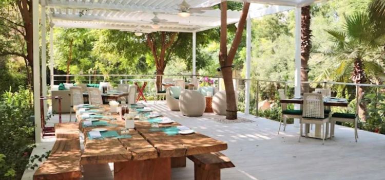 The Farm Restaurant, Al Barari