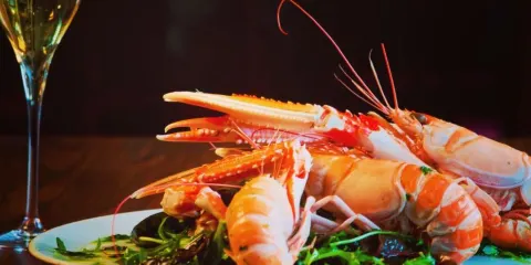 The Ship on The Shore