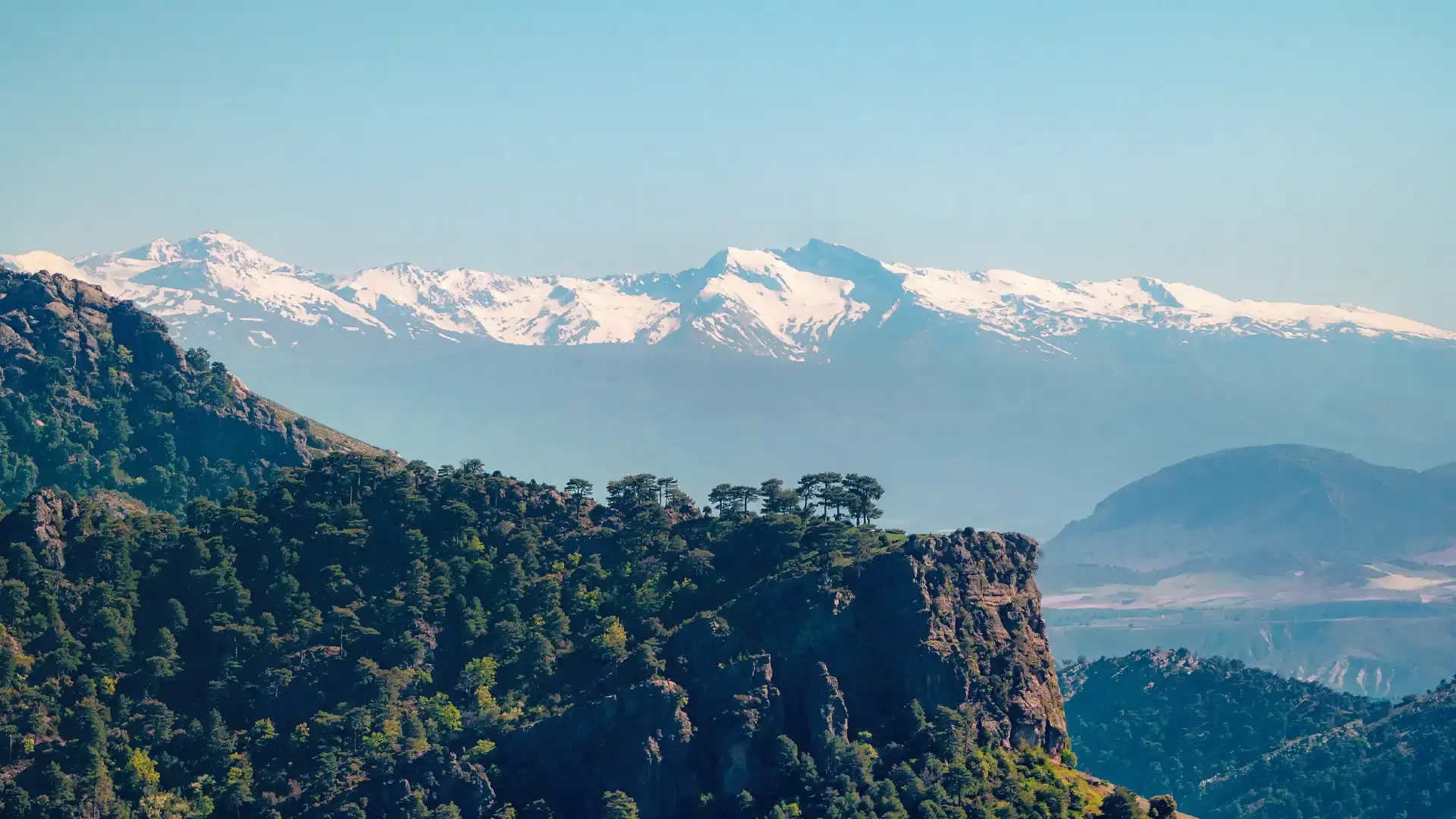 Hotels near منتزه سييرا نيفادا الوطني