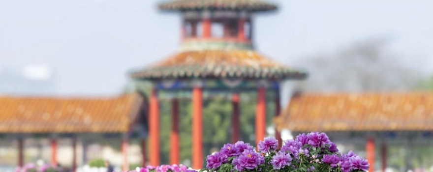 曹州百花園
