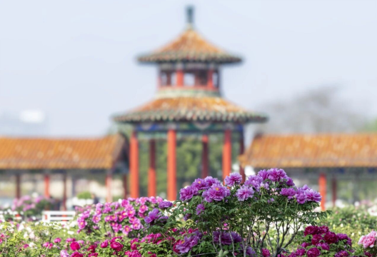 Caozhou Bai Garden
