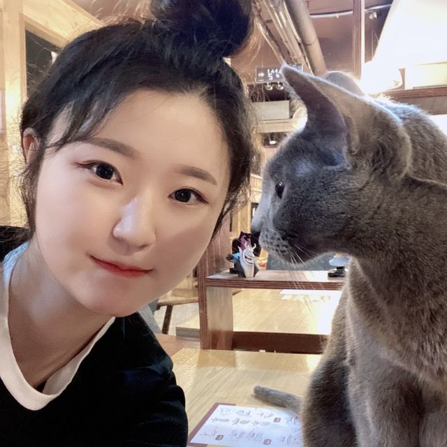 홍대 초저렴한 고양이 만화카페