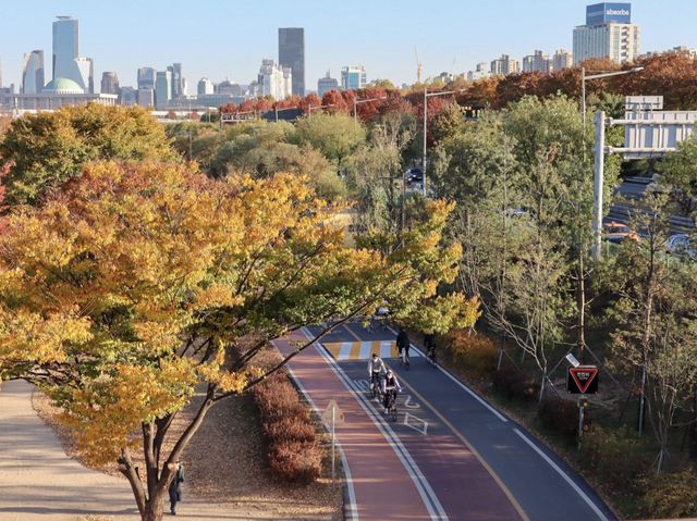 탁 트인 풍경이 매력인 양화한강공원