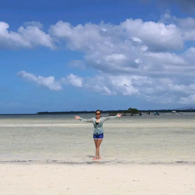 A fun in the sandbar