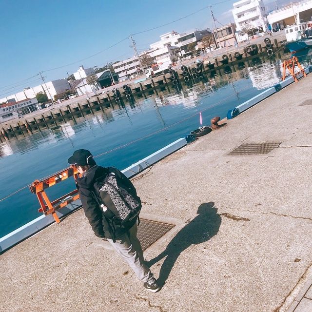 【沼津】沼津港で魚を食べ尽くせ！
