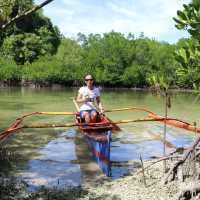 Lamanok Island Mystic Tour Experience