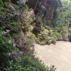 木言兰舍 여행 사진