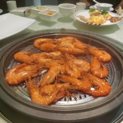 Yuebaihaihaixianzhengguo (haiwan) ảnh của người dùng