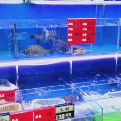 金色海湾海鲜排档 User Photo