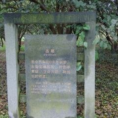 DAN ZHOU CHUAN MA TOU User Photo