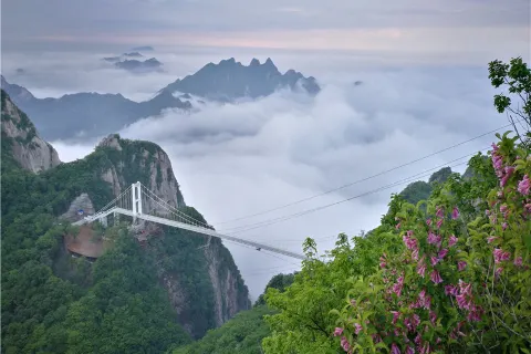 Phoenix Mountain of China
